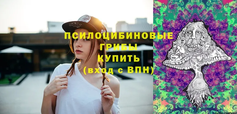 Галлюциногенные грибы Magic Shrooms  закладка  Зарайск 